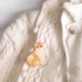 brooches